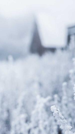 孕初期可以吃哈密瓜吗截图2