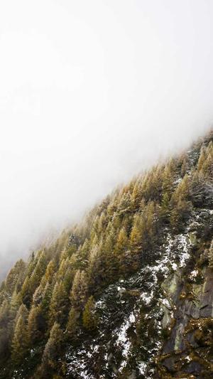 佛手瓜的籽可以吃吗截图4