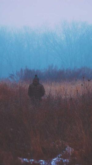 孕晚期吃哈密瓜好吗截图4