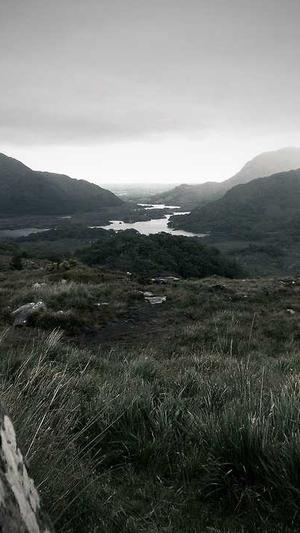 黑料不打烊网页版截图5