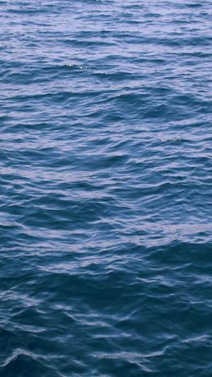 黑料吃瓜网网站截图2