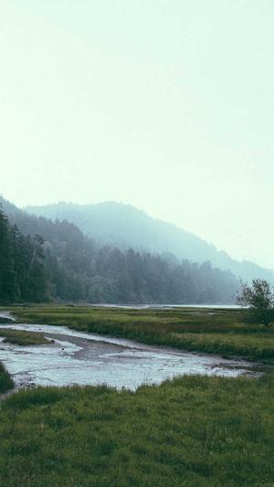 吃瓜大集合截图3