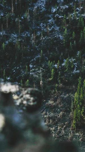 黑料吃瓜网.su永久有效截图2