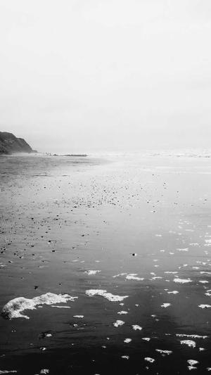 辛芷蕾黑料截图1