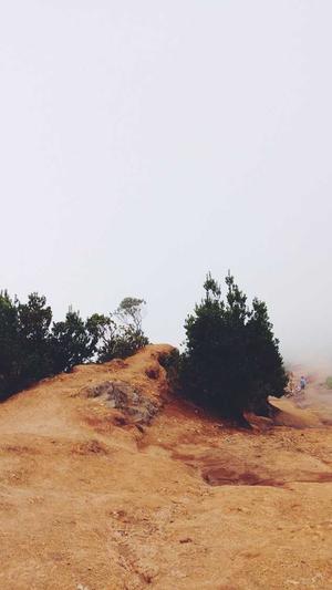 吊瓜怎么吃截图2