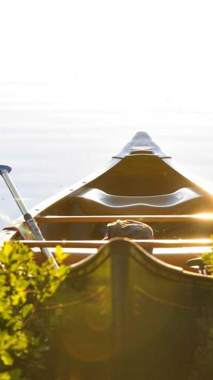 吃瓜张津瑜截图1