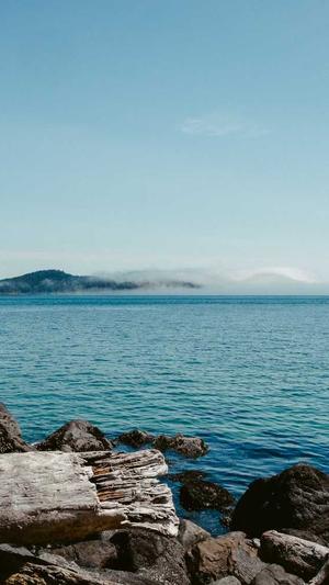 紫砂中的黑料是什么泥截图4