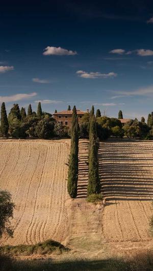 吃瓜中什么意思截图1