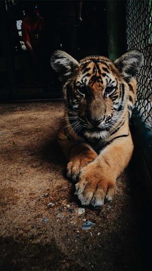 吃瓜的公众号推荐截图1