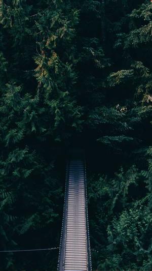 黑料网 - 今日黑料截图2