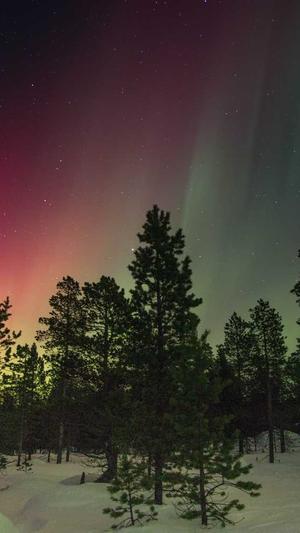 网红黑料网截图1