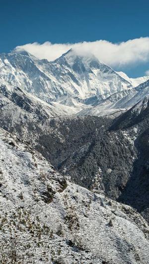 杨受成黑料截图2