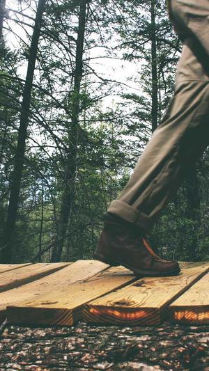 孕妇可以吃八月瓜吗截图5