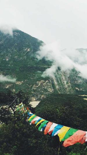 屈楚萧 黑料截图3