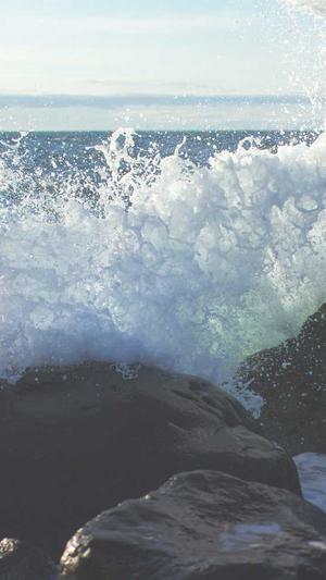 汪苏泷黑料截图1