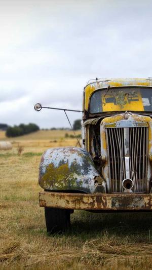 佛手瓜怎么吃最好截图1