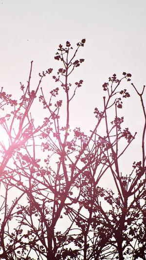 黑料福利导航截图3