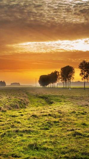 黑料正能量网站截图2