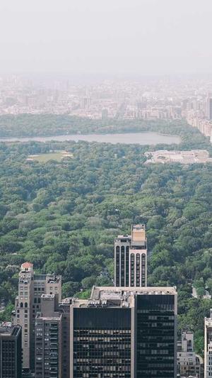 吃瓜网-免费吃瓜截图3