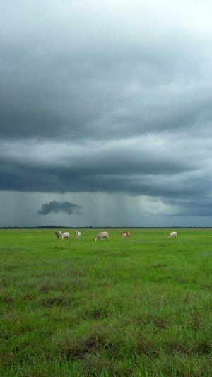 哈密瓜可以和牛奶一起吃吗截图4