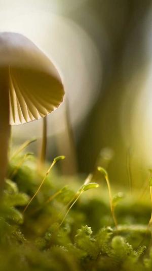 反差婊吃瓜黑料热门网曝截图3