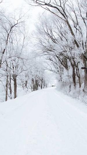 吃瓜的公众号推荐截图3