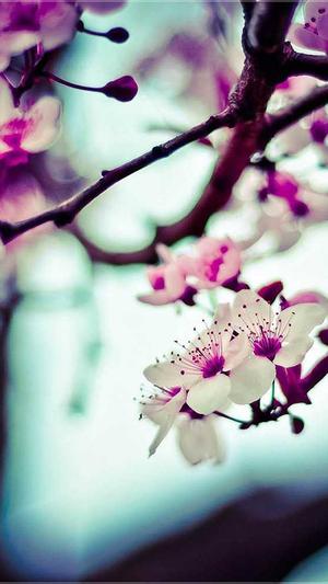 聚众吃瓜微博超话截图4