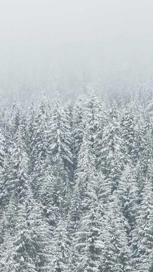 黑料福利导航截图1