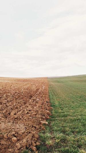 zztt黑料不打烊官网截图1