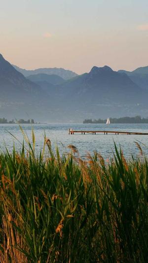 孕初期可以吃哈密瓜吗截图3