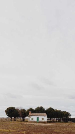 网爆吃瓜网截图1