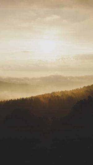 黑料正能量最新版下载截图5