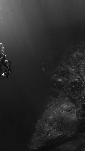 吃瓜资源公众号截图2