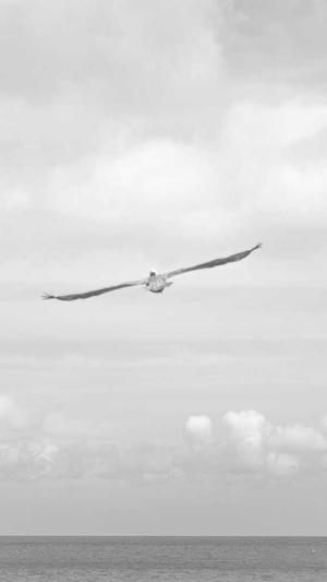 黑料不打烊永久回家地址截图3