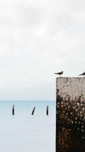 周洁琼黑料截图1