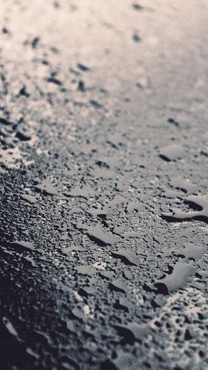 吃瓜落是什么意思截图2