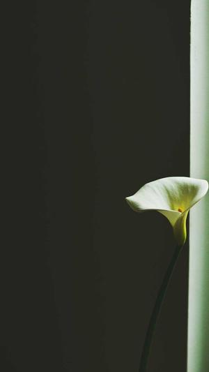 黑料不打烊 吃瓜网截图5