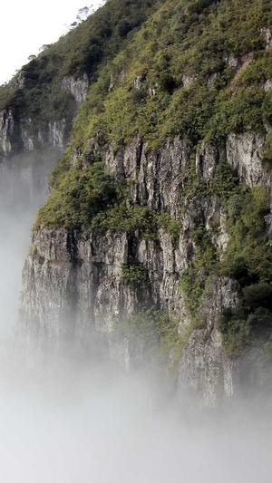 五一吃瓜今日吃瓜热门大瓜截图4